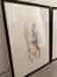 Affischer/ tavlor från Desenio 50x70