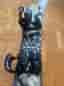 Technine Snowboard med bindningar