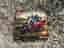 LEGO Technic 42116 Skid Steer Loader