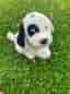 Hund gosedjur