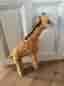 Giraff från Nature Planet, storlek 68 cm hög