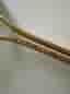 Vintage Fukuda Ultra Light Tennisracket