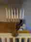 malmljusstake sjuarmad