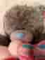 Nalle 71cm - MTY Me To You Miranda