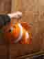 Hitta Nemo! Fisk mjukis gosedjur