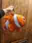 Hitta Nemo! Fisk mjukis gosedjur