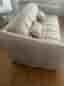 3-sits bäddsoffa beige sammet bädd 140 cm madrass 13 cm med snabbomvandling