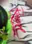 Snowboard Stranda Pipeliner Rossignol XV Magtek