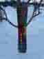 Snowboard Gnu Ladies Choice 148,5cm