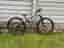 Marin rift zone 2 carbon