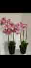 Orkidé krukväxt rosa 2 st exklusiva höga 85 cm blommor fejkblommor