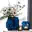 Vas Magnor - iglo