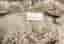 H&M HOME - Sittdynor - 6 st