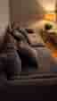 Buhre'ns xl soffa