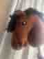 Käpphäst