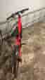 Specialized landsvägscykel röd