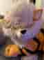 Pokemon Center Arcanine life size plush gosedjur IMPORT JAPAN