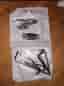 Compound Bow