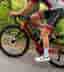 Wilier Filante SLR