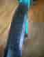 Bianchi Magma 9S