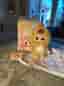 Baby Three blind box Gosedjur