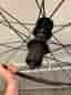 Shimano WH-R501 Hjulset + Extra bakhjul (Rideway)
