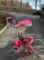 Smoby Trehjuling Baby Balade