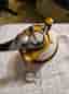 Penn International V 30VSX havsfiskerulle guld