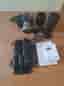 Sony ZV-E10 Paket (2 objektiv + vlogg hangrepp m.m)