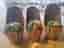 Easycare Glowing Cactus krukväxt 3-pack