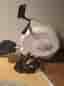 Casall R3000 roddmaskin vit