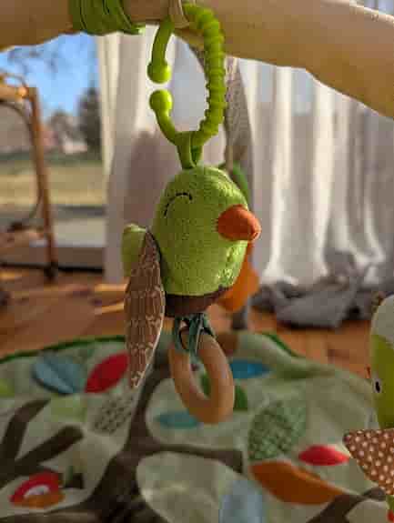 Skip Hop Treetop Friends Classic Babygym