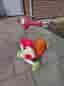 Skip Hop - Balanscykel 3i1