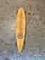 Sector 9 longboard