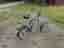 Trehjulig Specialcykel Monark 523