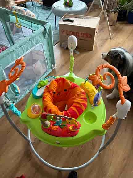 Fisher- Price hoppgunga