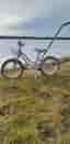 bmx star pinepeak