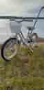 bmx star pinepeak