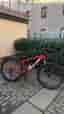 Specialized mountainbike 29" unisex ramstorlek M röd