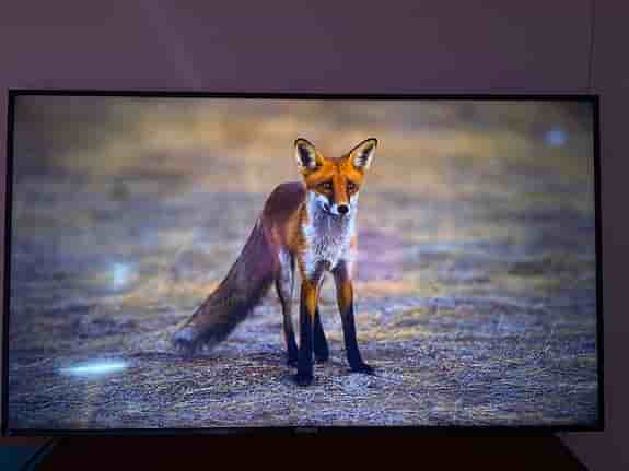 Philips 65" signage 4k