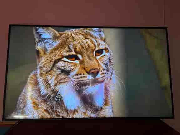 Philips 65" signage 4k