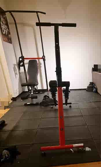 SISTA EX REA Trappstege maskin hopfällbar stepper med (ski, climb & step)