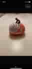 Roblox Blox Fruits gosedjur orange