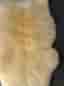 Lång Fårskinn Matta