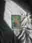 Jennifer Lynn Barnes The Inheritance Games bok engelska