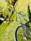 Skeppshult Z cykel silver med Brooks sadel - som ny