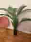 Fin konstväxt palm 160 cm