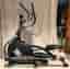 Xterra Fitness FS3.9E crosstrainer