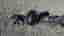 Mercane WideWheel Pro elsparkcykel