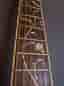 CORT 50 års jubileums gitarr! Som byggdes för att efterlikna D-45